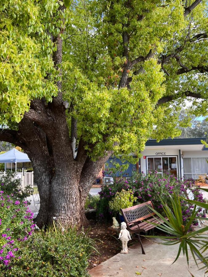 Sturt Motel Balranald Extérieur photo